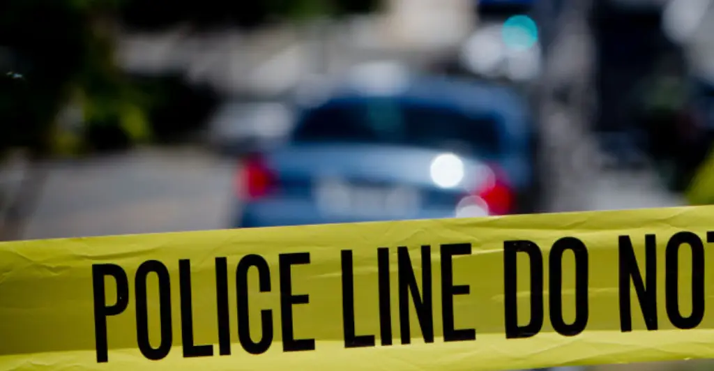 Man allegedly 'decapitated his own parents and dog before fleeing in stolen golf cart'